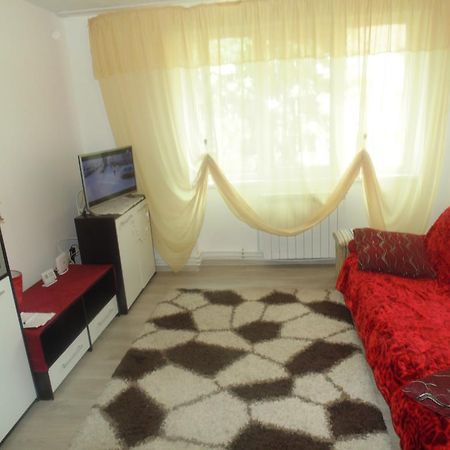 Lary Apartament Suceava Exterior foto
