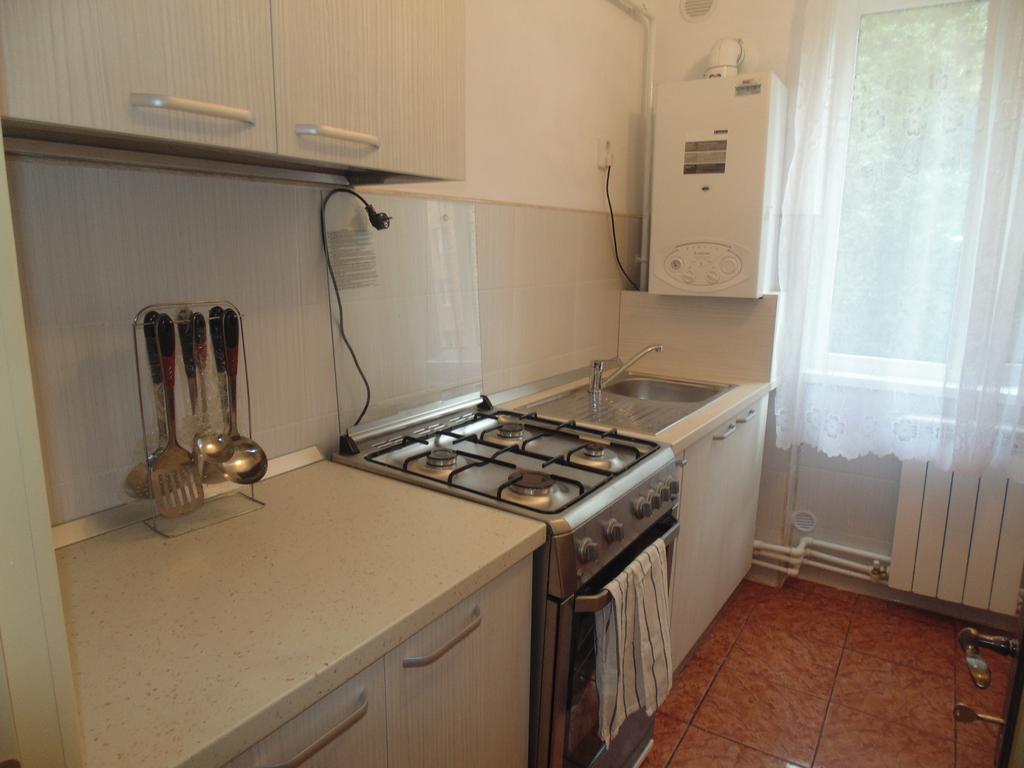 Lary Apartament Suceava Habitación foto